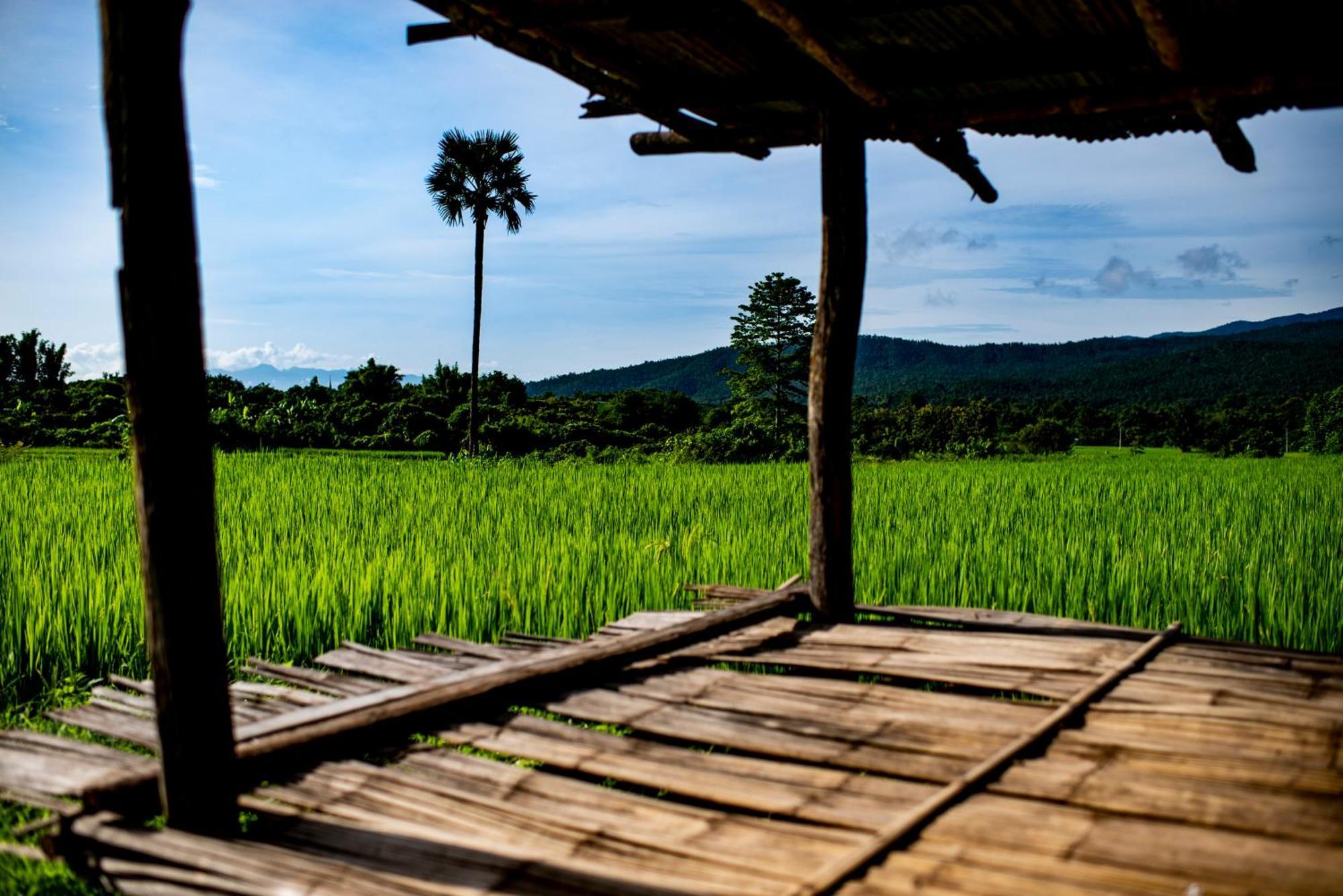 Suan Sook Homestay Чом Тхонг Экстерьер фото