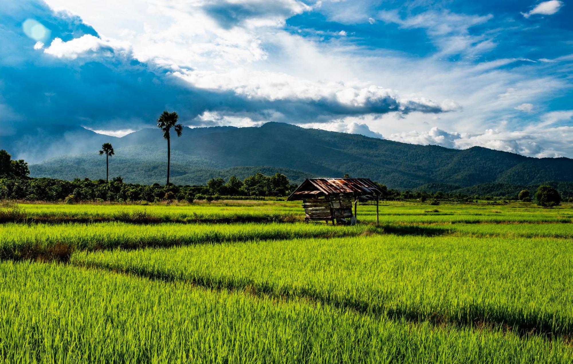 Suan Sook Homestay Чом Тхонг Экстерьер фото