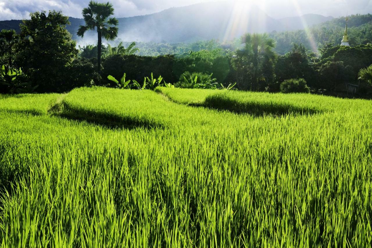 Suan Sook Homestay Чом Тхонг Экстерьер фото